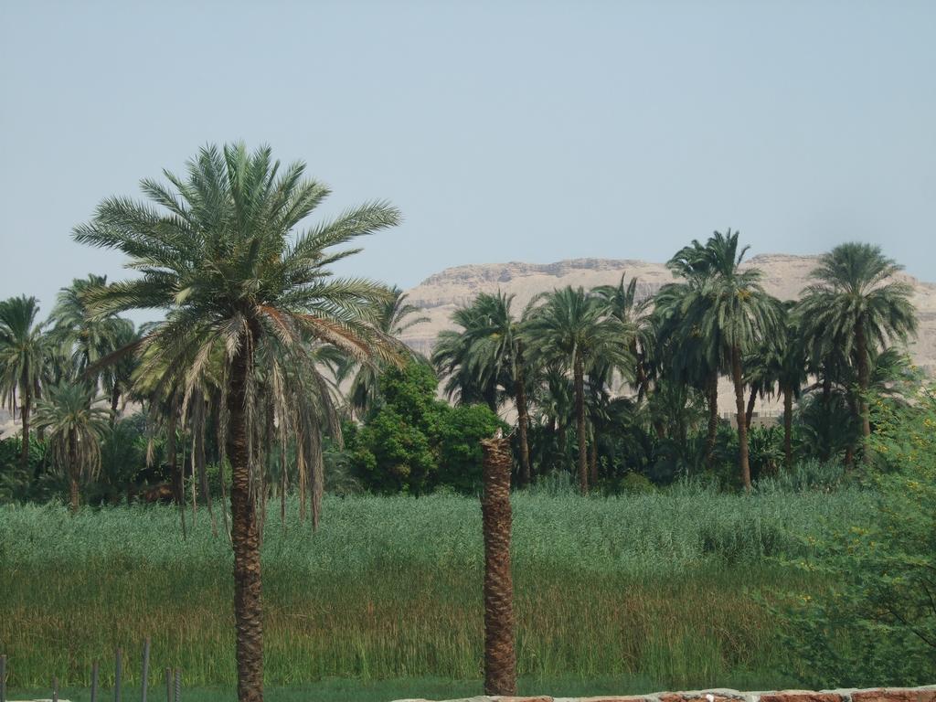 Luxor Palace Apartments Eksteriør bilde