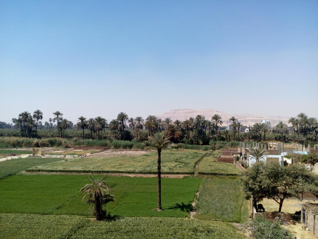 Luxor Palace Apartments Eksteriør bilde